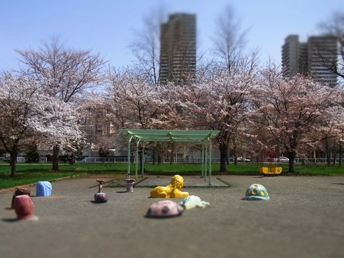 昼下がりの公園.jpg